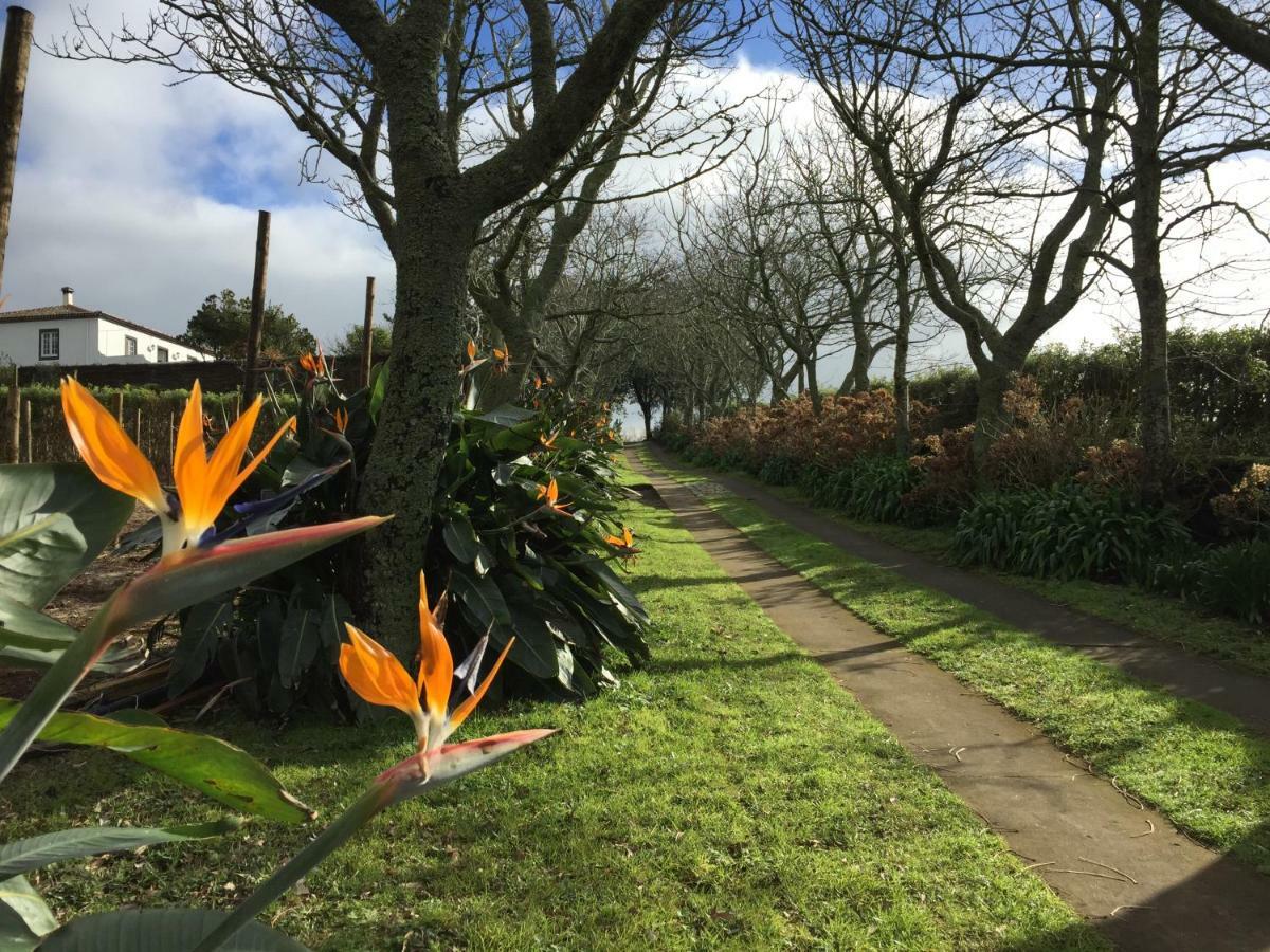 Azores Protea House Lejlighed Lagoa  Eksteriør billede